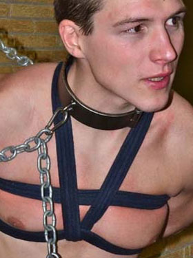 roped studsϵԴϼ