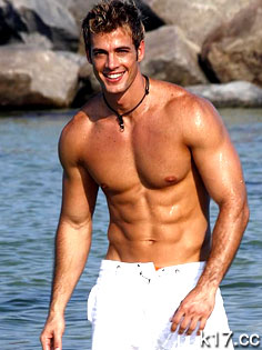 άWilliam Levy