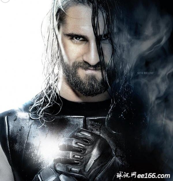 WWE:ǿ2014